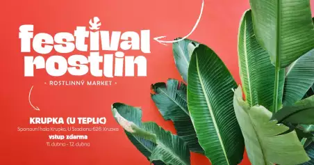 646218151_122224117130303544_5742904522813454543_n